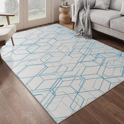 Pet Odor Removal from Area Rug in Rock Hill