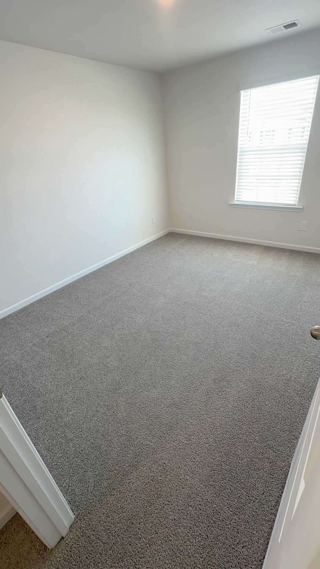 After Carpet Cleaning